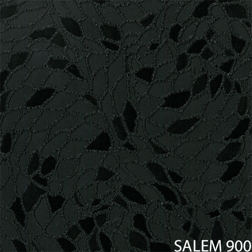 salem 900_new_popis